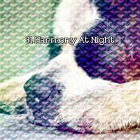 Focus On Sleeping - Sleepy Night Music