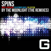 By The Moonlight - Spins & DJ Ultimate Bass