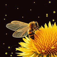 I’m Gonna Be Her Honey Bee - Larry Jones