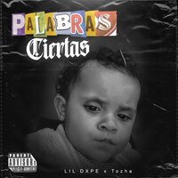 Palabras Ciertas - Lil Dxpe & Tozha