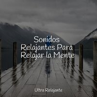 Ecos Calmantes - Musica Relajante Para Dormir & Sueños Triplete & Sonidos De La Naturaleza