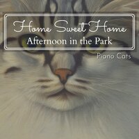 Told This Story - Piano Cats