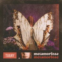 Instalação - Tuany