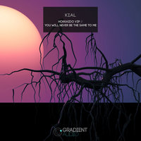 You Will Never Be The Same To Me - Kial