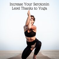 Optimal Solution - Gentle Music Sanctuary