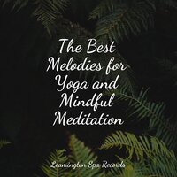 Feeling Sheltered - Rain Drops for Sleep & Guided Meditation & Loopable Rain Sounds