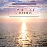 Gratitude - Waves Sounds - Nature Sounds & Music Library