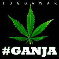 Party - Tuggawar