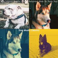 Sensational Backdrops for Separation Anxiety - Dog Music Classics