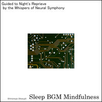 Brainwave's Embrace Warms the Soul's Midnight Chill - Sleep BGM Mindfulness