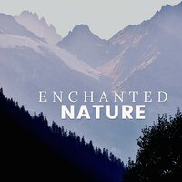 Calm Waterfront - Nature Hiker