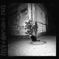 D.H.C - Adam Walsh & Diavlitx