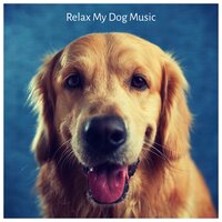 Quantum - Dog Music Club & Sleepy Dogs & Dog Relaxation