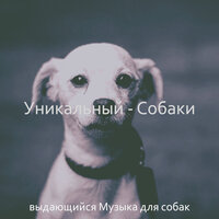 Созерцая (Щенки) - выдающийся Музыка для собак
