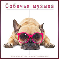 Музыка для собачьих ушей - Собачья музыка & Музыка для собак & Сонная музыка для собак