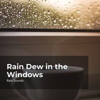 At Home While Raining - Rain Sounds & Rain Storm Sample Library & Natural Rain Sounds for Sleeping