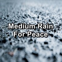 Medium Rain Anti Stress To Repeat for 24 Hours - Thunder Sounds & Thunder Storm & Thunderstorms