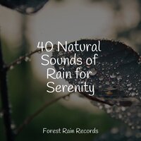 Medium River - Baby Sleep & White Noise Sleep Sounds & Tinnitus