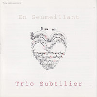 Tel me voit - Trio Subtilior