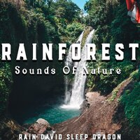 Gloomy Weather - Rain David Sleep Dragon