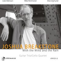 Some Kinda Mean - Joshua Breakstone