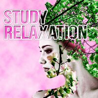 Calming Concentration Music - Exam Study Background Music Consort