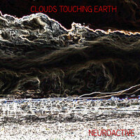 Saddle Windface - Neuroactive