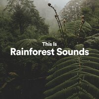 This Is Rainforest Sounds, Pt. 6 - Rainforest Sounds