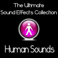 Snore - Pro Sound Effects Library