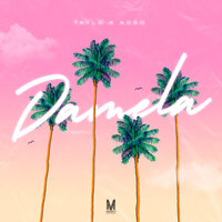 Damela - Tayl G & Adso