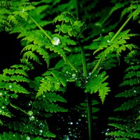 Soft Droplets - Meditation Music Club & Sound Sleeping & Massagem