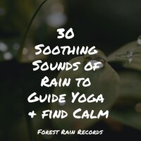 Gentle Rain - Rainfall & Sleep Songs 101 & Relaxing Rain Sounds