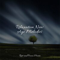 Drops Fall Softly - Deep Sleep Music Experience & Mindfulness Mediation World & Sound Sleeping