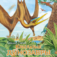 Ярослав Попов. «Крылатые, но не динозавры». Часть 3 - Амир Рашидов