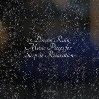 Evening Rains - Exam Study Classical Music Orchestra & Schlaflieder Für Kinder & Classical New Age Piano Music