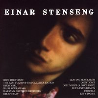 The Last Flash of the Cavalier Nation - Einar Stenseng