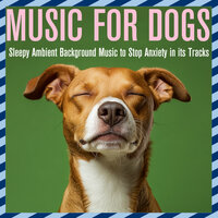 Musical Pacifier - Dog Music Dreams & Relax My Dog