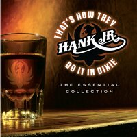 My Name Is Bocephus - Hank Williams Jr.