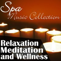 Summer Morning - The Retreats