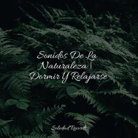 Sentimientos Etéreos - Meditacao Clube & Piano para Dormir & Academia de Música con Sonidos de la Naturaleza