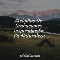 Bendita Oscuridad - Canciones de Cuna Relax & Musica Para Meditar y Relajarse & Massagem Coleção de Músicas