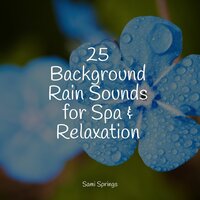 Flowing Water - Cascada de Lluvia & White Noise Relaxation & Ambient Nature Project