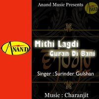 Guru Garanth Sahib to Ki Nahi Milda - Surinder Gulshan