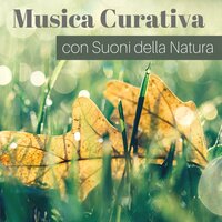 Dolce Ninna Nanna - Acqua Curativa
