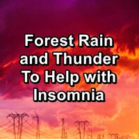 Heavy Rain and Thunder For Spa and Relaxation in the Evening - Nature Sounds Artists & Nature Soundscape & Sleeping Nature Sound