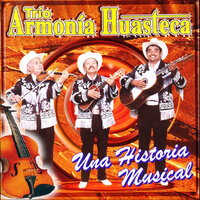 Tú Tienes la Culpa - Trio Armonia Huasteca