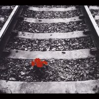 Left On Red - Left On Red