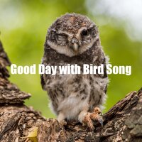 Good Day with Bird Song - Sleeping Nature Sound
