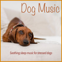 Tranquil Relaxation - Relax My Dog & Pet Music Therapy & Dog Music Dreams & RelaxMyDog