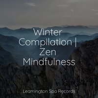 Calm and Serene - Exam Study Classical Music Orchestra & The Relaxing Sounds of Swedish Nature & The Relaxation Principle